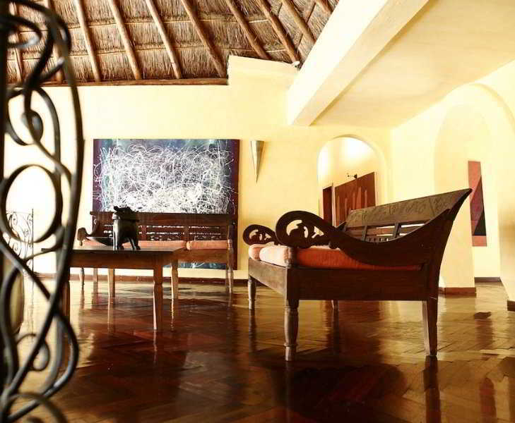 Mosquito Blue (Adults Only) Otel Playa del Carmen İç mekan fotoğraf
